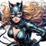 Knightverse Catwoman 4