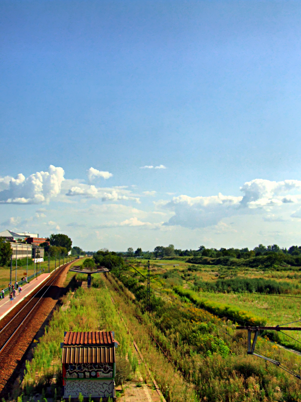 railroad meadow..