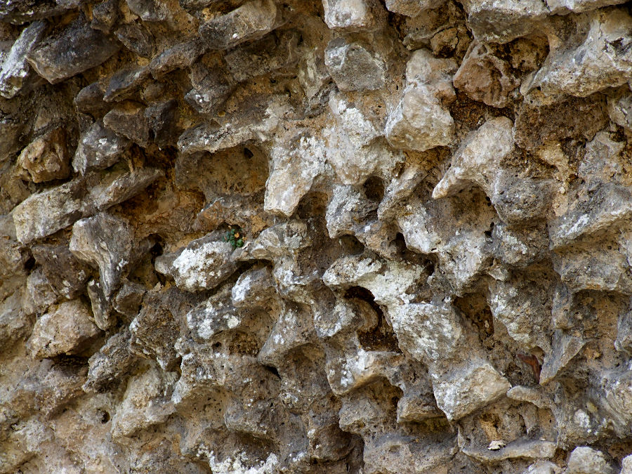 Scales With Rocks stone scales.. by kretka on DeviantArt