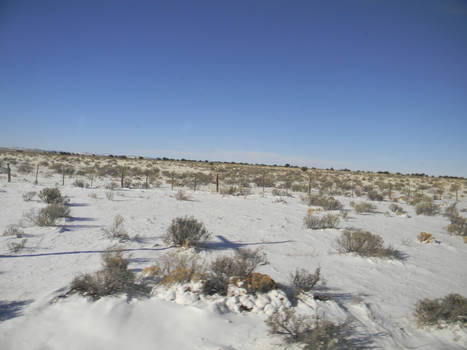 Arizona Snowscape 3