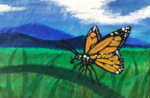 Monarch Butterfly