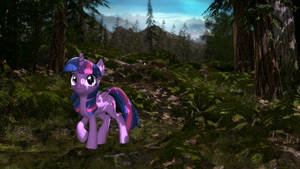Forest Adventure