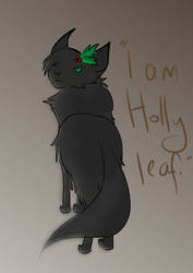 Hollyleaf