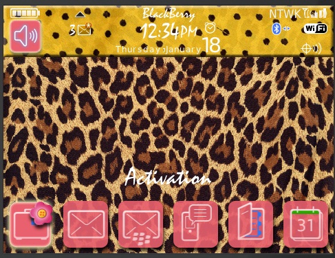 Blackberry Theme1