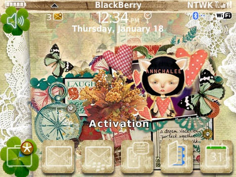 Blackberry Theme3