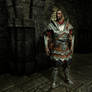 Skyrim Legionnaire