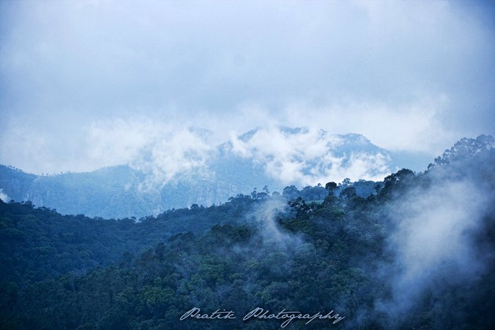 Mystical Nilgiris