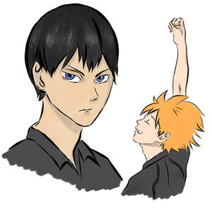 Haikyuu victory (Kageyama and Shoyo)