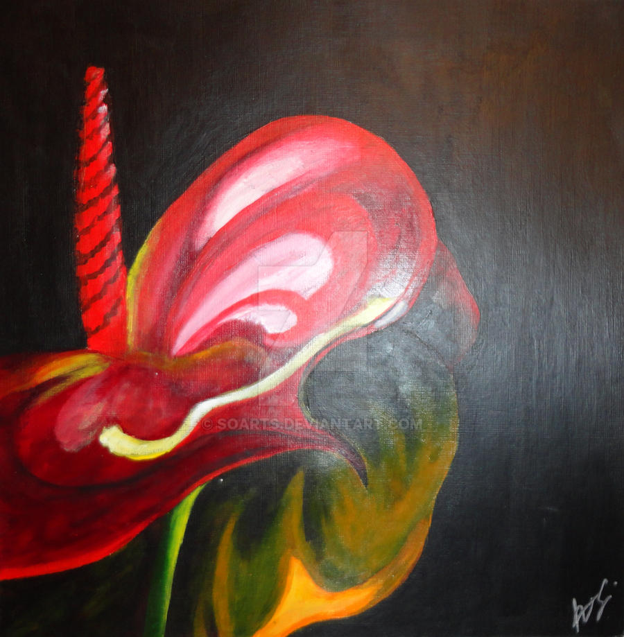 Ruby Flower Drawing The Ruby Flower by soarts on DeviantArt