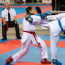 Karate match