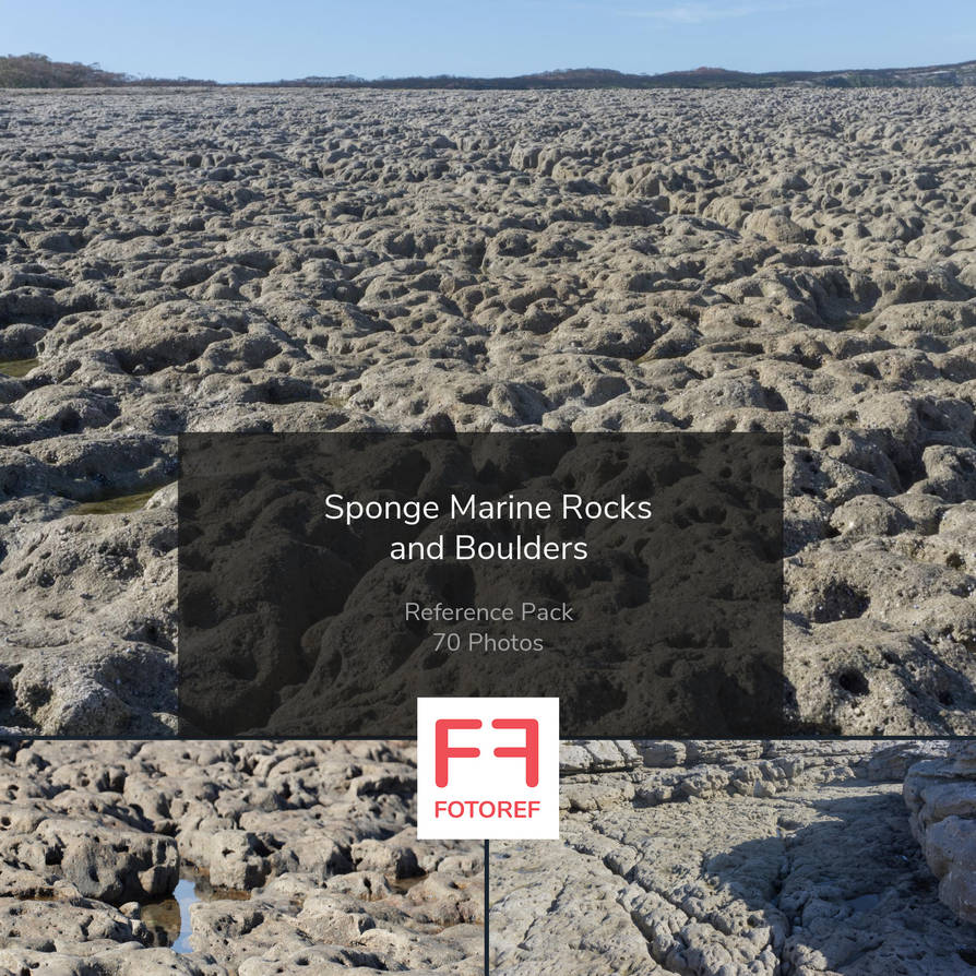 70 photos of Sponge Marine Rocks and Boulders by Fotoref on DeviantArt