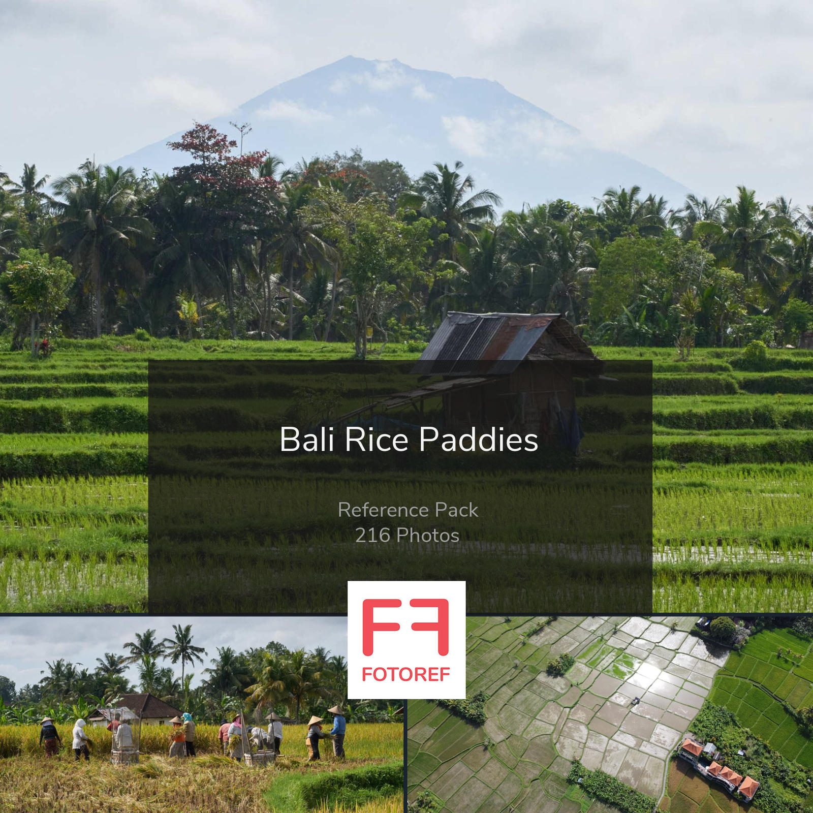 216 photos of Bali Rice Paddies by Fotoref on DeviantArt