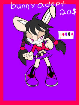 Sonic oc adopt bunny 20$ (open)