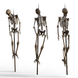 Impaled Skeletons Stock