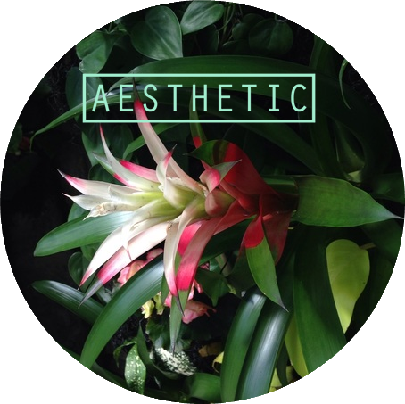 Large Fdfdfdfd by ralucapotter on DeviantArt