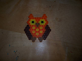 Orange owl