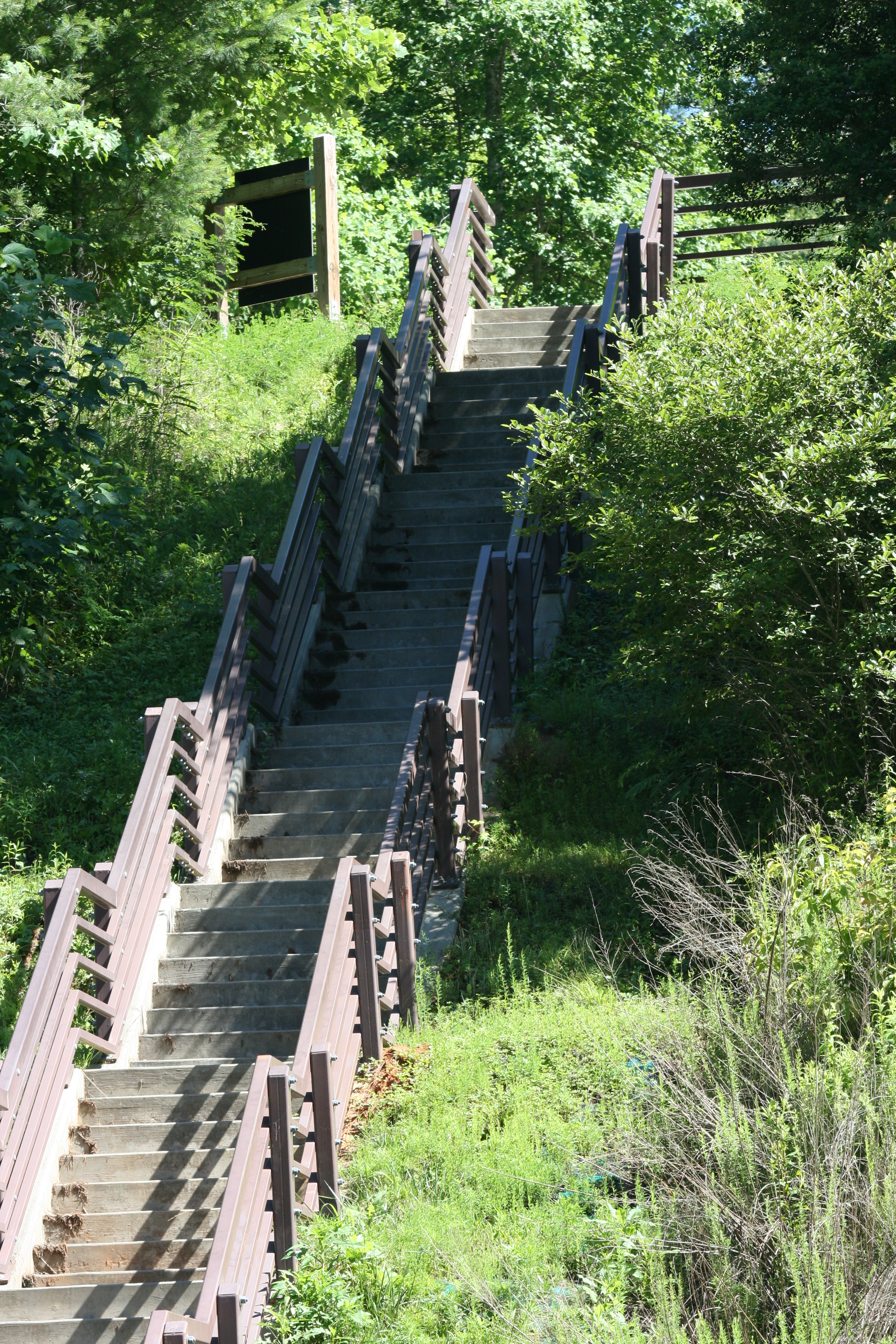 Stairs in the Woods Stock