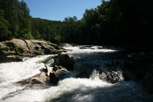 Bull Sluice River Stock