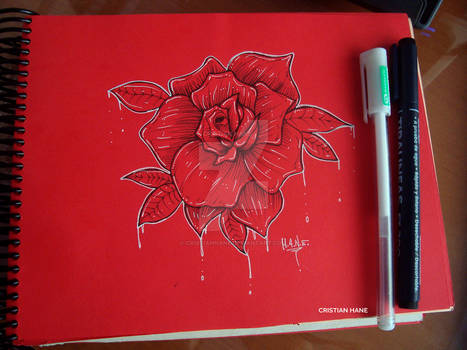 Rose red paper.