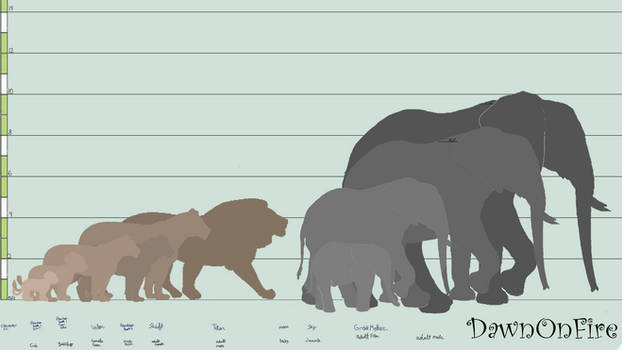 Braveland Size Reference Lions and Elephants