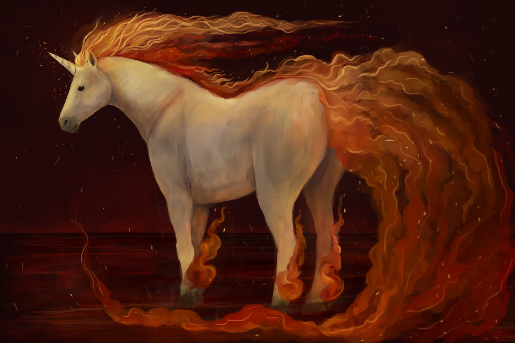 Rapidash by Noctualis