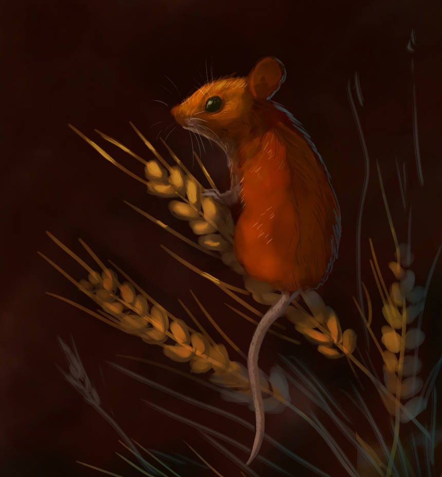 Mouse Deviantart Mouse by Noctualis on DeviantArt