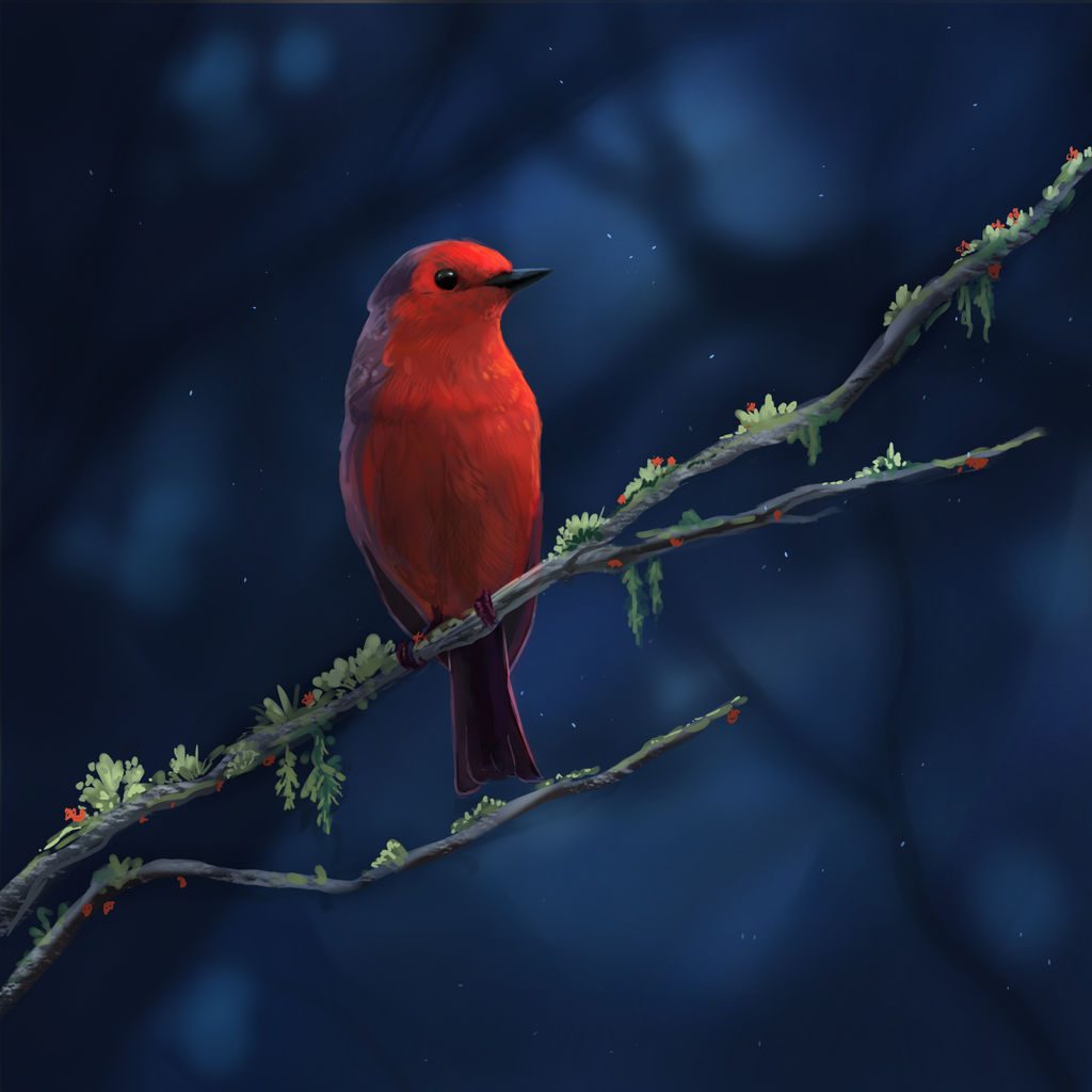 Little Red Bird