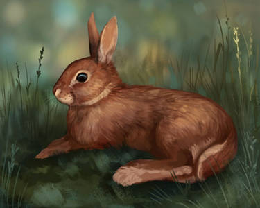 Deviantart Floppy Rabbit Explore the Best Flop Art | DeviantArt