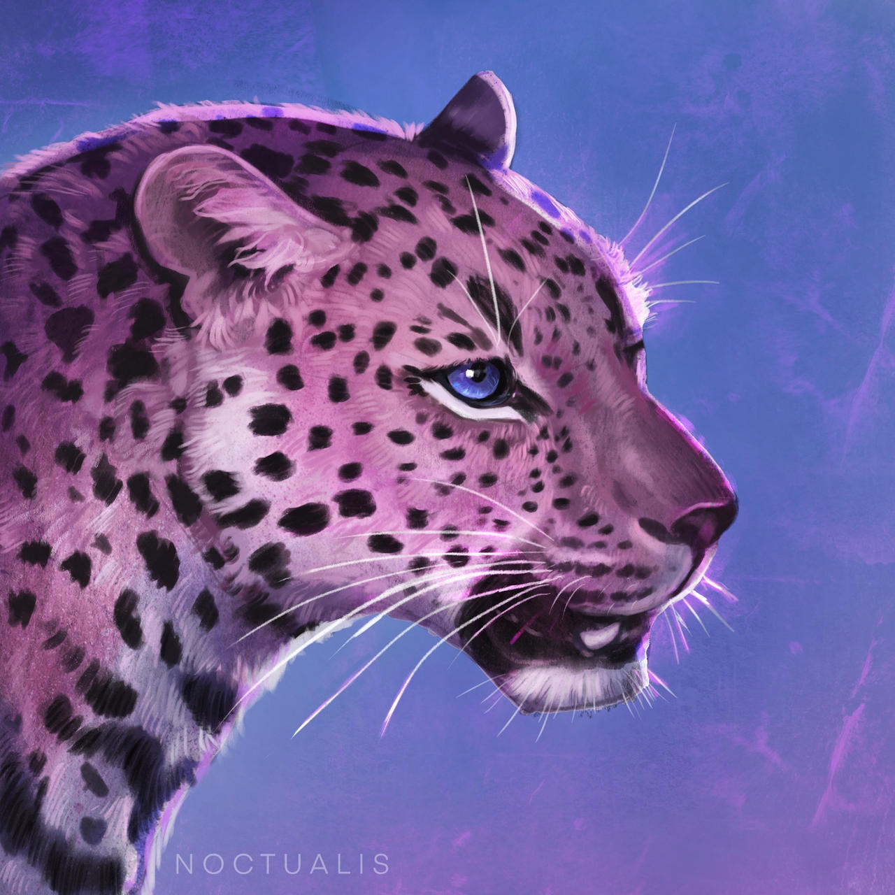 Pink leopard by Noctualis on DeviantArt