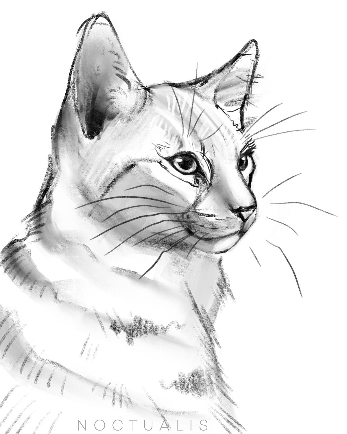 Deviantart Cat 02