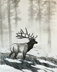 inktober - elk by Noctualis