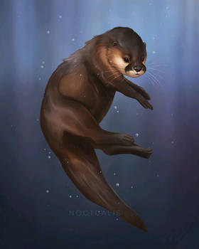 10 new animals - otter!