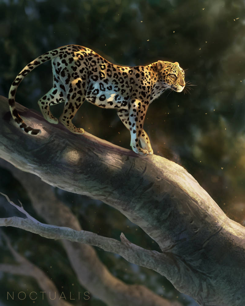 Leopard on tree by Noctualis on DeviantArt