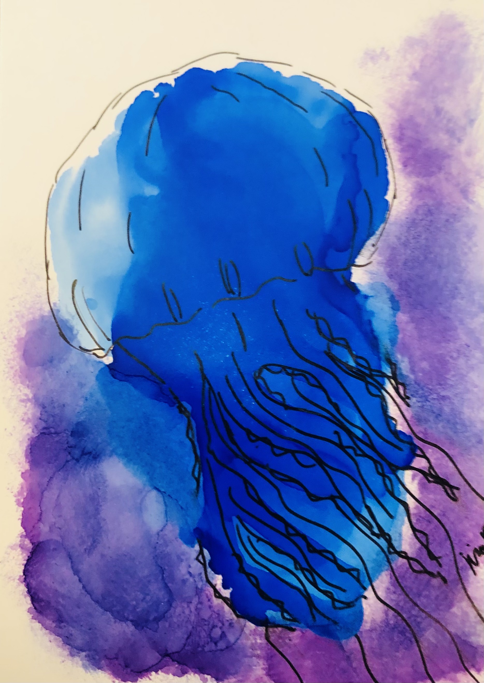 ~~jellyfish