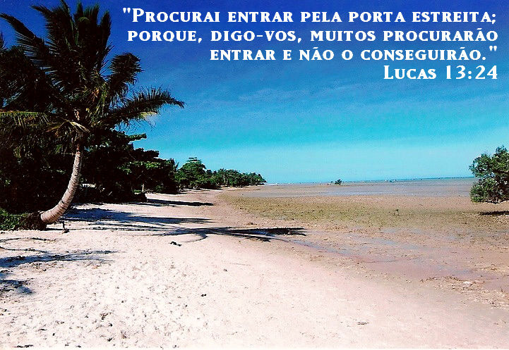 lucas 24 13 32