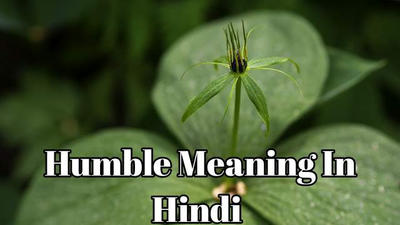 Humble Meaning In Hindi By Akshaya1997 On Deviantart Humble Meaning In Hindi By Akshaya1997 On Deviantart