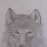 my most recent wolf finished it a minute ago :3