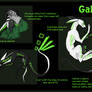 MTT Adoptable try-out: Gallium (lost)