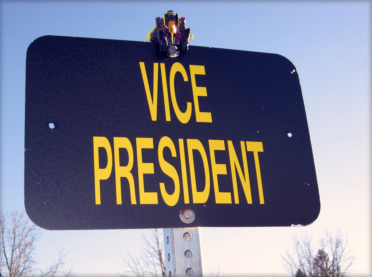 Vice PRESIDENT