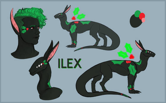 MTT - Ilex Ref Sheet