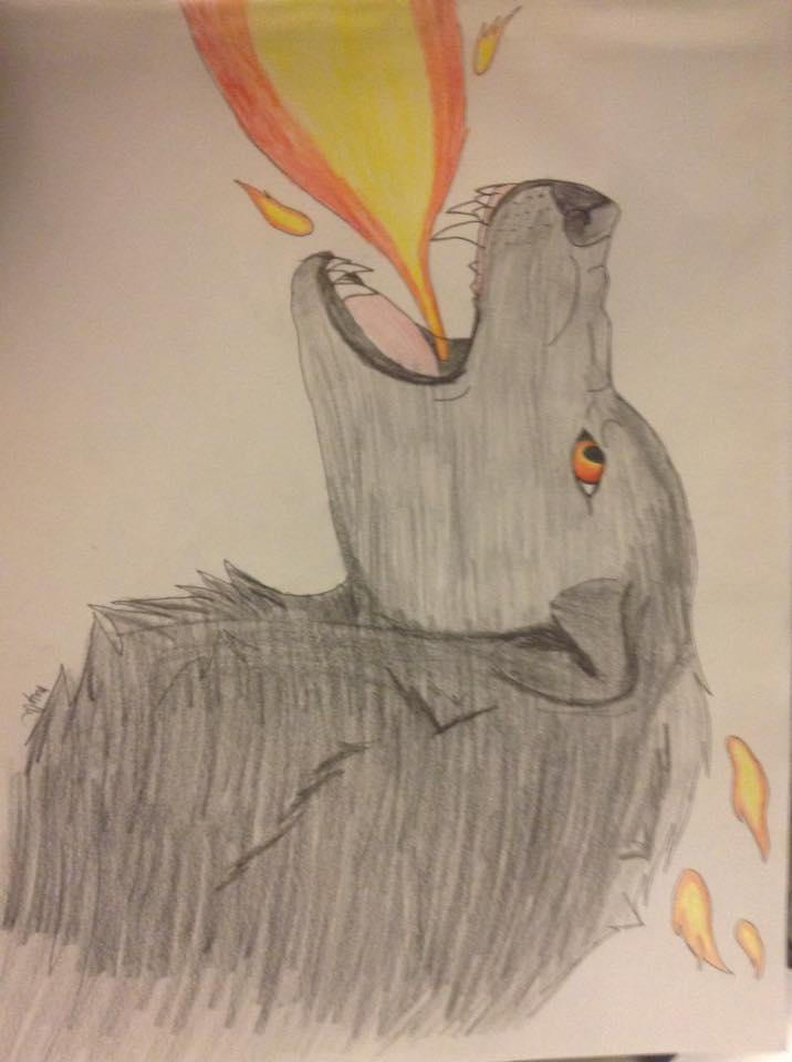 Fire Wolf Drawing by WolfoftheTundra on DeviantArt