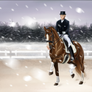Suomi Winter Event 2013 - Dressage