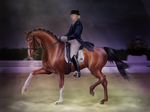 Canadian Equestrian Championships 2013 by PartilleHSC