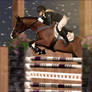 RWES Event // Show Jumping