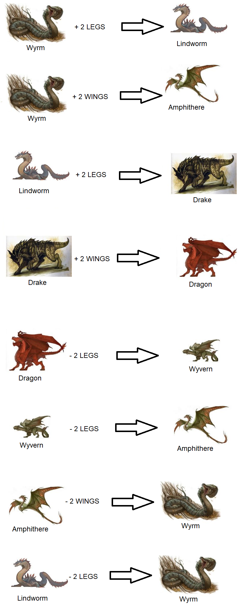 basic dragon rule-1 by tom091178 on DeviantArt