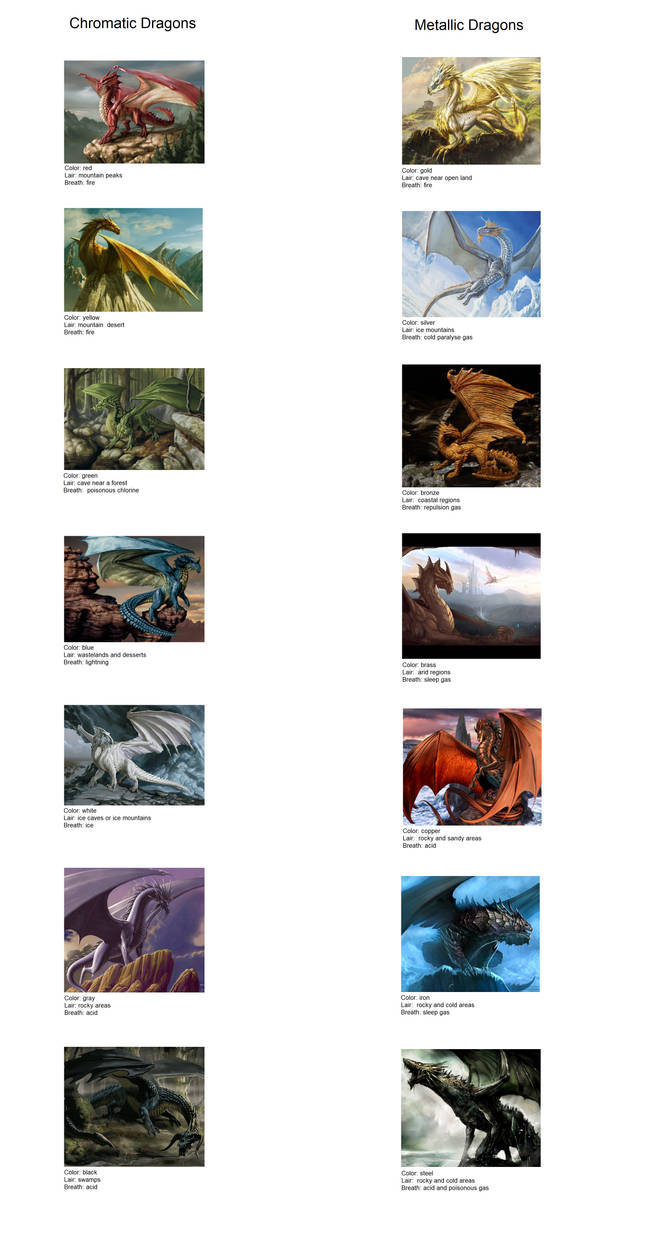 Dragon Races by tom091178 on DeviantArt