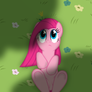 Pinkamena