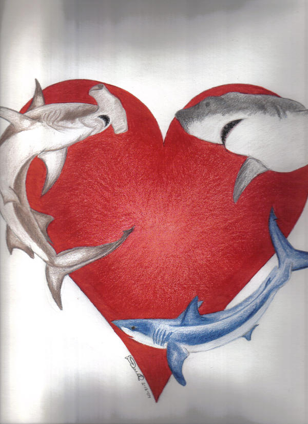 Shark Heart