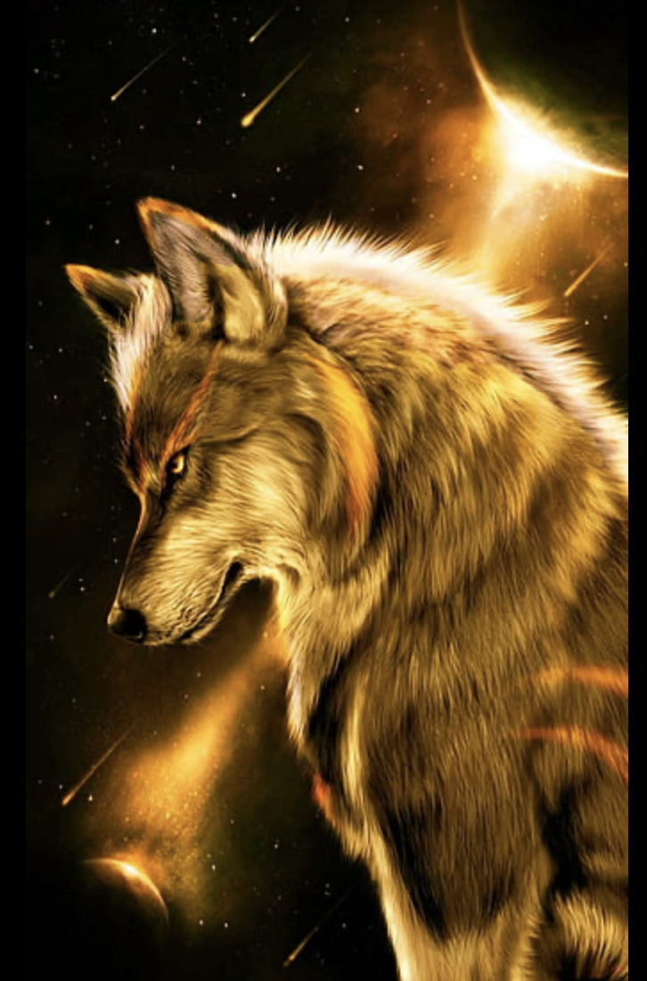 Gold Wolf by FireWariorXKing on DeviantArt