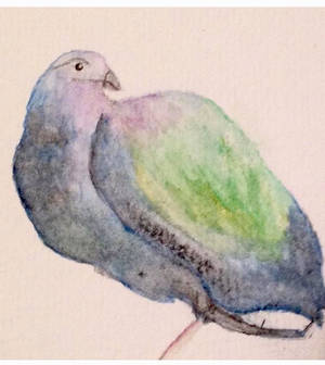 Watercolor bird